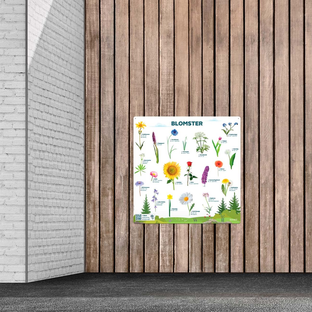 Blomster - Billede 3